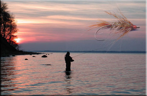 Fliegenfischen in der Ostsee