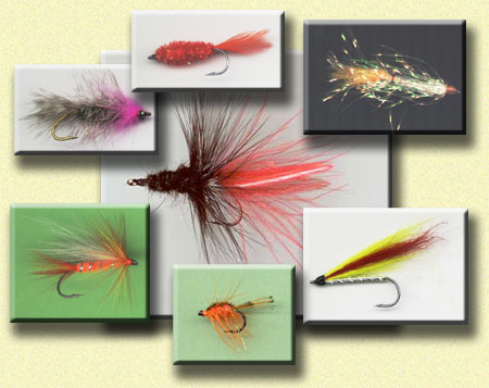 Reizfliegen - Auswahl