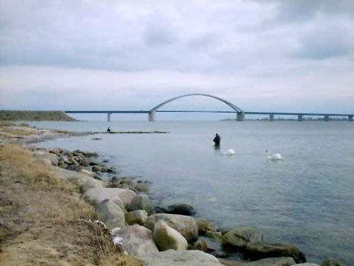 Strukkamp