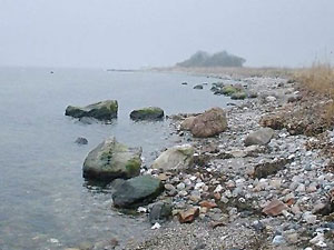 Strukkamp
